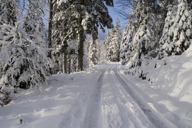 18 - Descente vers le Rudlin.jpg